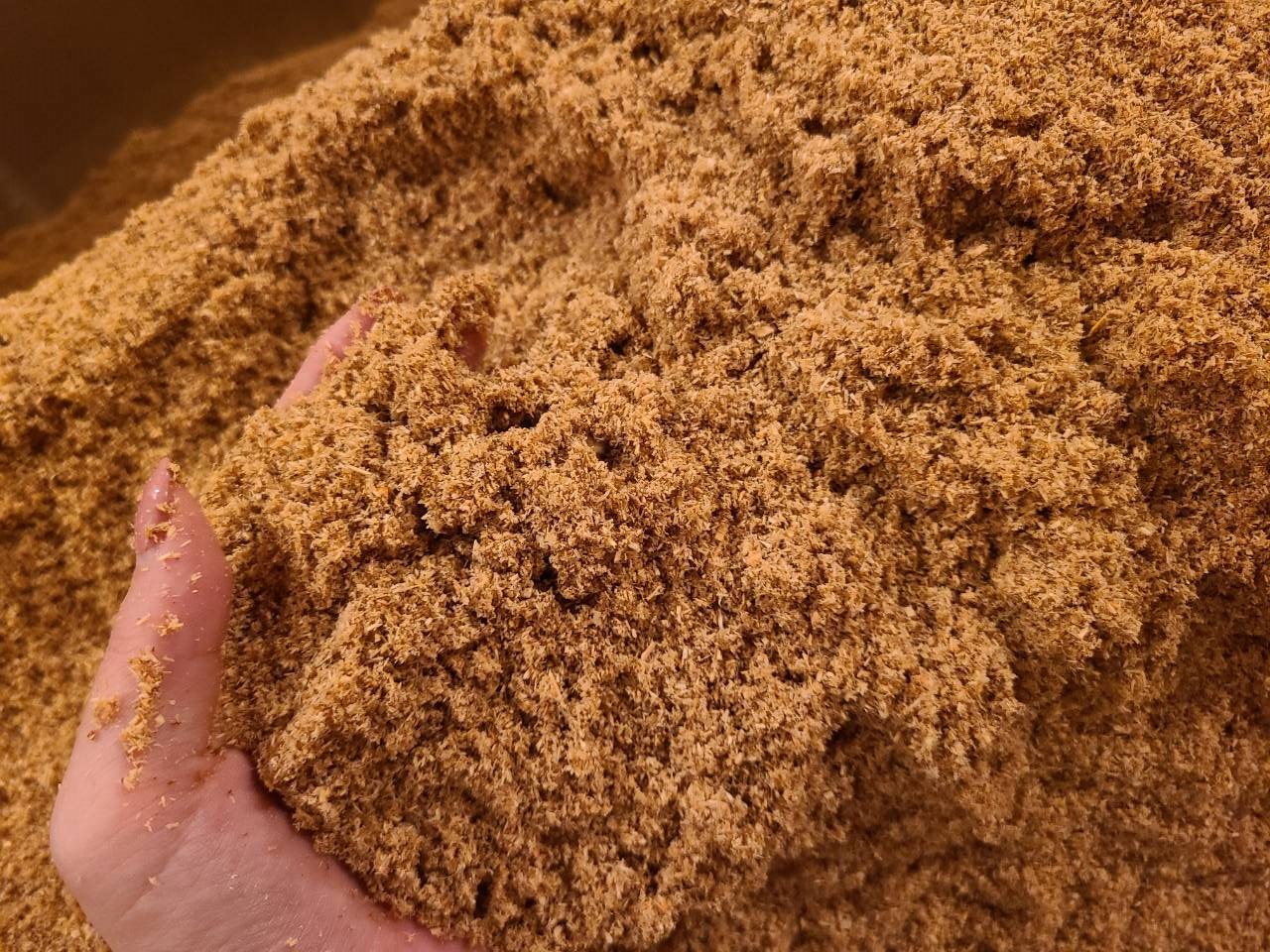 手のひらにすくった浴床のおが粉